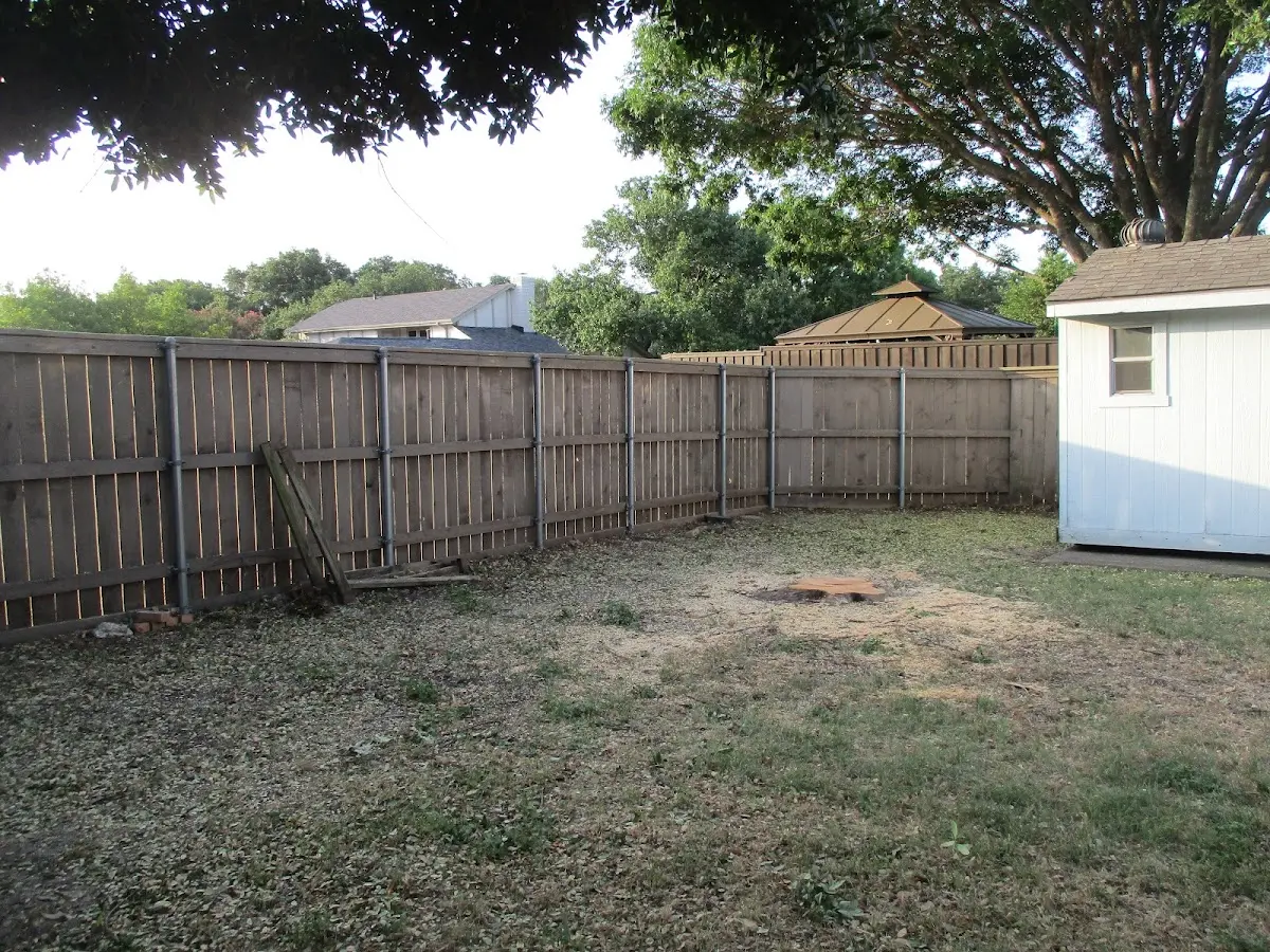 Cleared yard after professional tree removal in Abercrombie